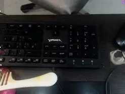 Amateur Live Sex Cam of michell_