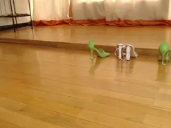 Amateur Free Porn Cam of Ukk_bitt