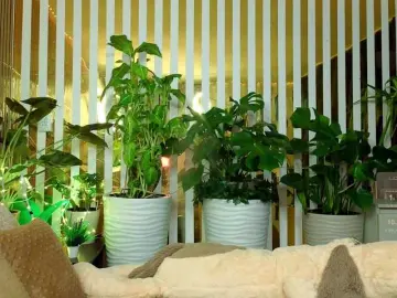 Bongacams Adult Video Chat of MiaLiaHot