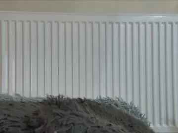 Bongacams Free Live Porn of curvyana