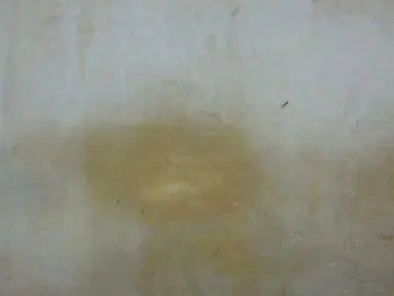 Bongacams Nude Webcam of sexy-candy1