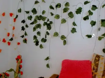 Bongacams Sex Cam of Sabrinaolsons