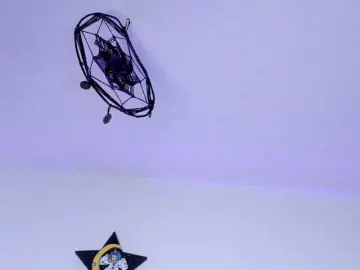 Bongacams Sex Chat of venusxadam