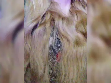 Bongacams Live Sex Cam of Isabel-LM