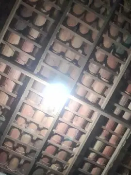 Cam4 Live Sex of capetinha1821