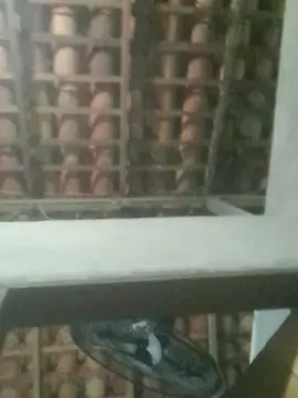 Cam4 Best Webcam of capetinha1821