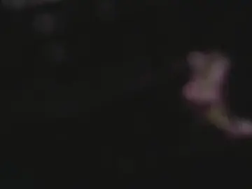 Cam4 Sex Chat of alicia_carr