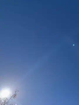 Cam4 Adult Video Chat of Brunithagomez_