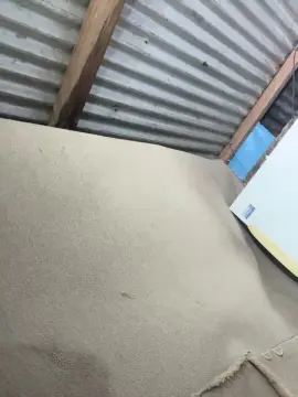 Cam4 Sex Cam of Cami_04