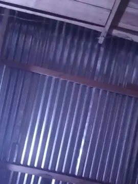 Cam4 Live Sex Cam of isabellanoire