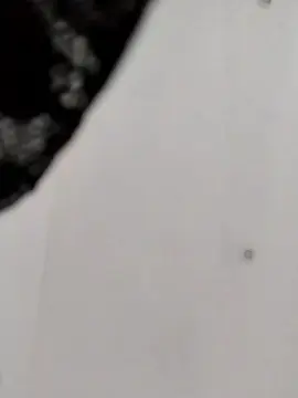 Cam4 Best live sex cam show of Asiancat83