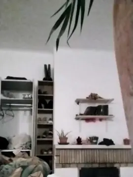 Cam4 Free Porn Cam of Asiancat83