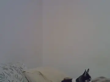 Cam4 Private Sex Chat of naughtyxana