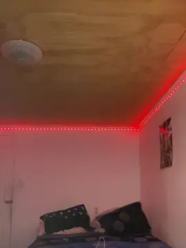 Cam4 Private Sex Chat of lia264