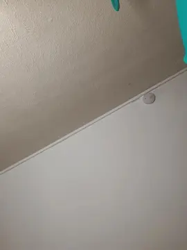 Cam4 Live Sex Cam of MissFoxieFairy