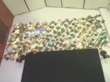 Cam4 Adult Video Chat of VioletaDums