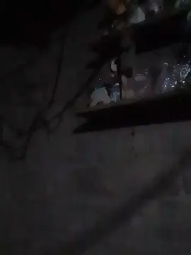 Cam4 Watch Live Sex Cams of Colo06