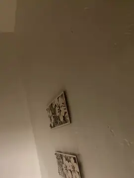 Cam4 Best Webcam of bbyxjosie335671