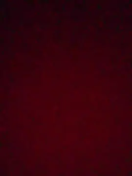 Cam4 Best Webcam of Evelynsexy1