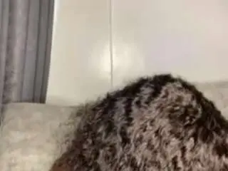 Camsoda Live Sex Cam of pecky-pinky