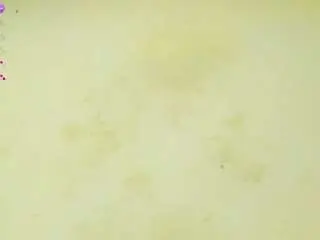 Camsoda Free Live Porn of kathia-spring