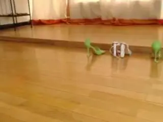 Camsoda Watch Live Sex Cams of mystres