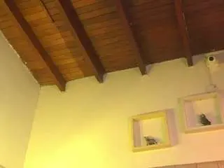 Camsoda Adult Webcams of pattymm