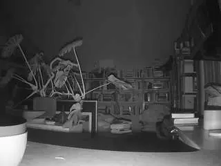 Camsoda Live Sex of voyeurcam-bridgetleewalters-02