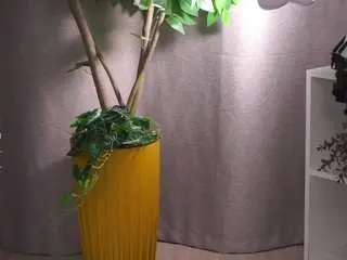 Camsoda Free Live Porn of marandareimmer