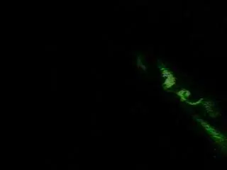 Camsoda Live Sex of itscandibtch69