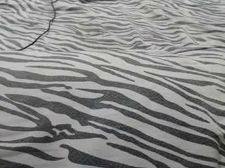 Camsoda Live Sex of mollyandbrad