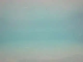 Camsoda Adult Video Chat of voyeurcam-casa-salsa-pool-1