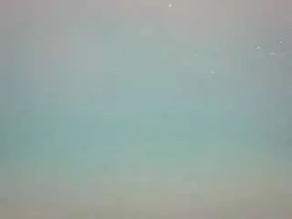 Camsoda Best Webcam of voyeurcam-casa-salsa-pool-1