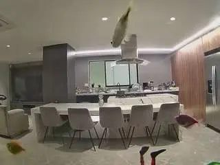 Camsoda Live Sex Cam of voyeurcam-casa-salsa-fishtank