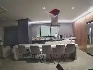 Camsoda Free Live Porn of voyeurcam-casa-salsa-fishtank