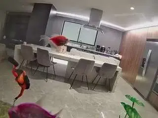 Camsoda Free Porn Cam of voyeurcam-casa-salsa-fishtank