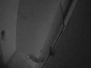 Camsoda Live Sex of voyeurcam-casa-salsa-bathroom-7