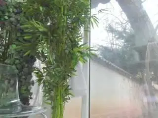 Camsoda Free Live Porn of lexistorm