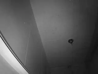 Camsoda Sex Cam of voyeurcam-casa-salsa-bathroom-10