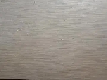 Chaturbate Live Sex Cam of leonorekaufhold