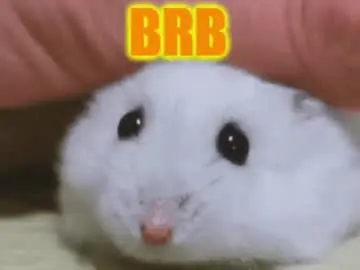 Chaturbate Live Sex of lolly_fly