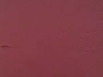 Chaturbate Adult Video Chat of _aniisha_