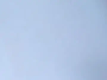 Chaturbate Live Porn of carol100597