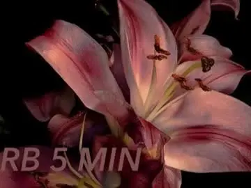 Chaturbate Best live sex cam show of moranosofia