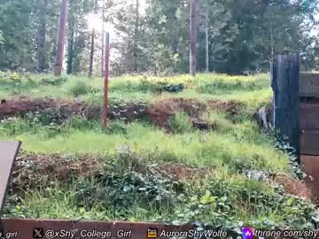 Chaturbate Sex Cam of shy_college_girl