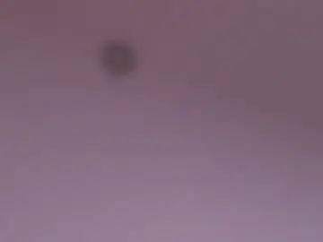 Chaturbate Live Sex of miamontoya