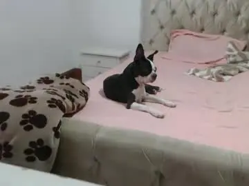 Chaturbate Sex Chat of girlvictoria