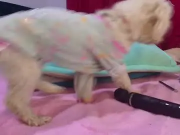 Chaturbate Watch Live Sex Cams of vallery_evanss