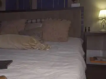 Chaturbate Adult Webcam of kirasunny