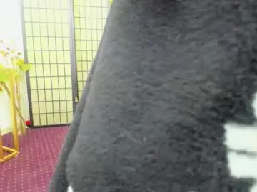 Chaturbate Best Webcam of aisharouhi